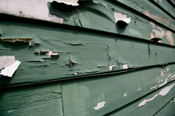 Best Fiber Cement Siding Installation  in Americus, GA